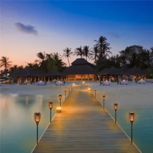 Solar Torch Light Outdoor Waterproof Flame Garden Lamp
